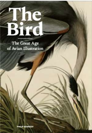 The Bird EGZEMPLARZ USZKODZONY