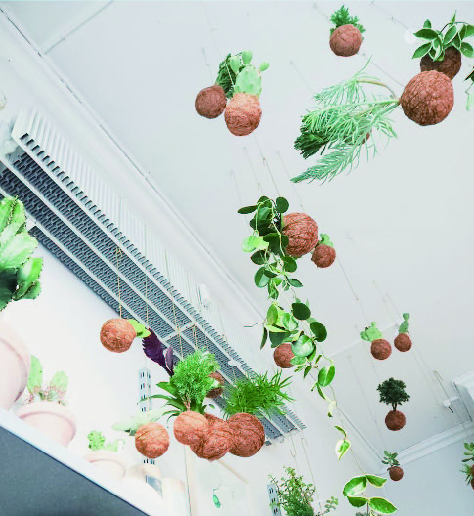 By Sandu Publications from Aesthetica Botanica: A Life with Plants copyright Ginkgko Press, Inc 2018