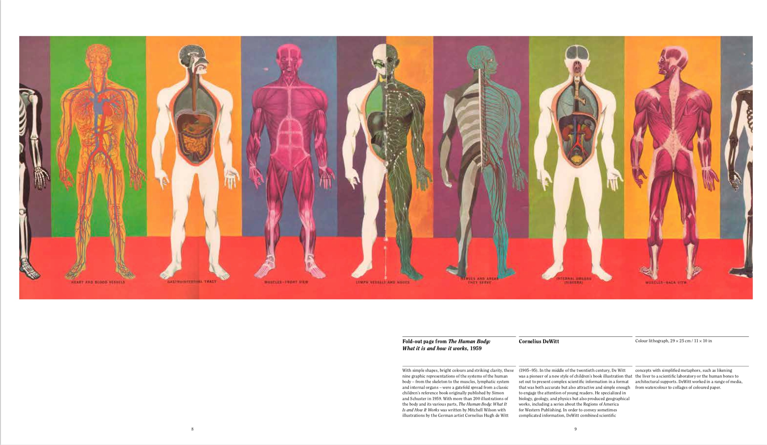 By Phaidon Editors from Anatomy: Exploring the Human Body copyright Phaidon 2019
