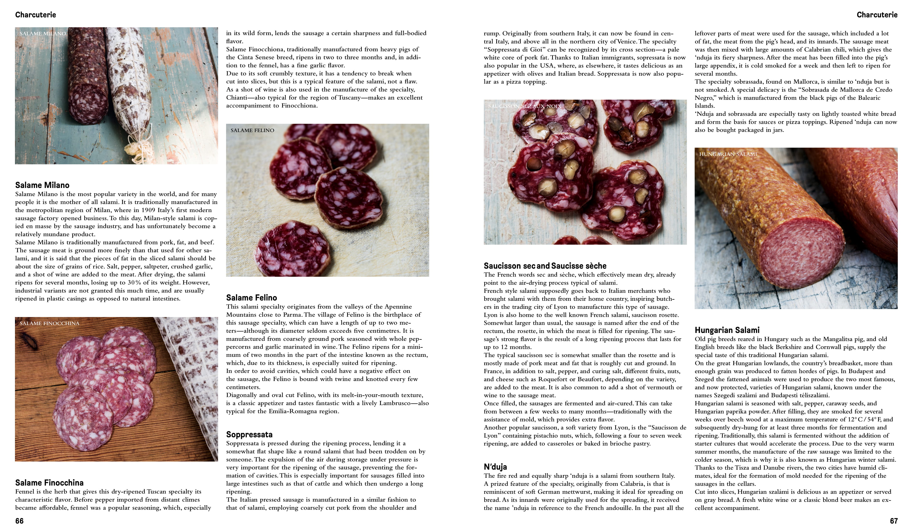 By Hendrik Haase, Robert Klanten and Sven Ehmann from Crafted Meat copyright Gestalten 2015