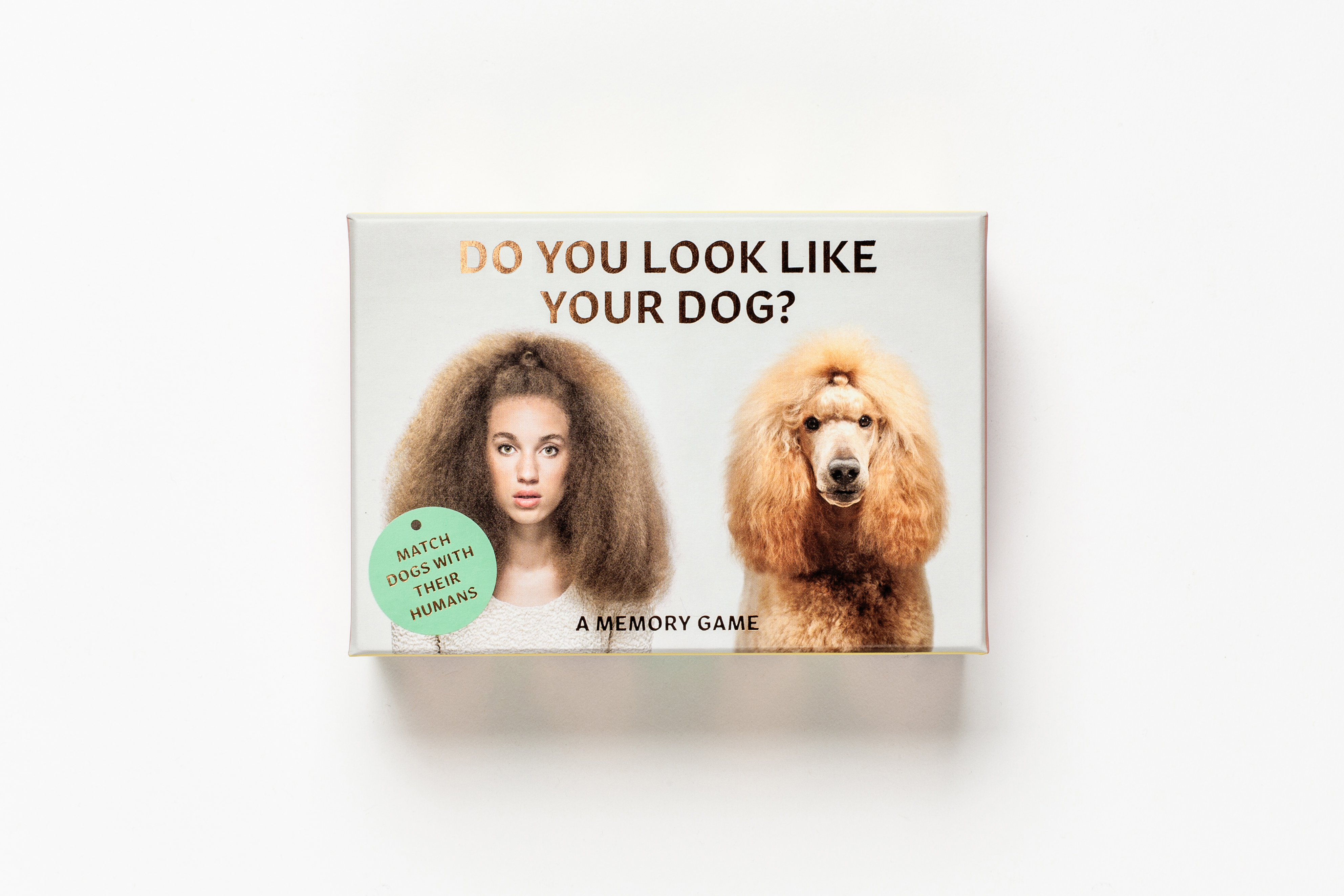 From Do you look like your dog?. Courtesy of Laurence King Publishing.