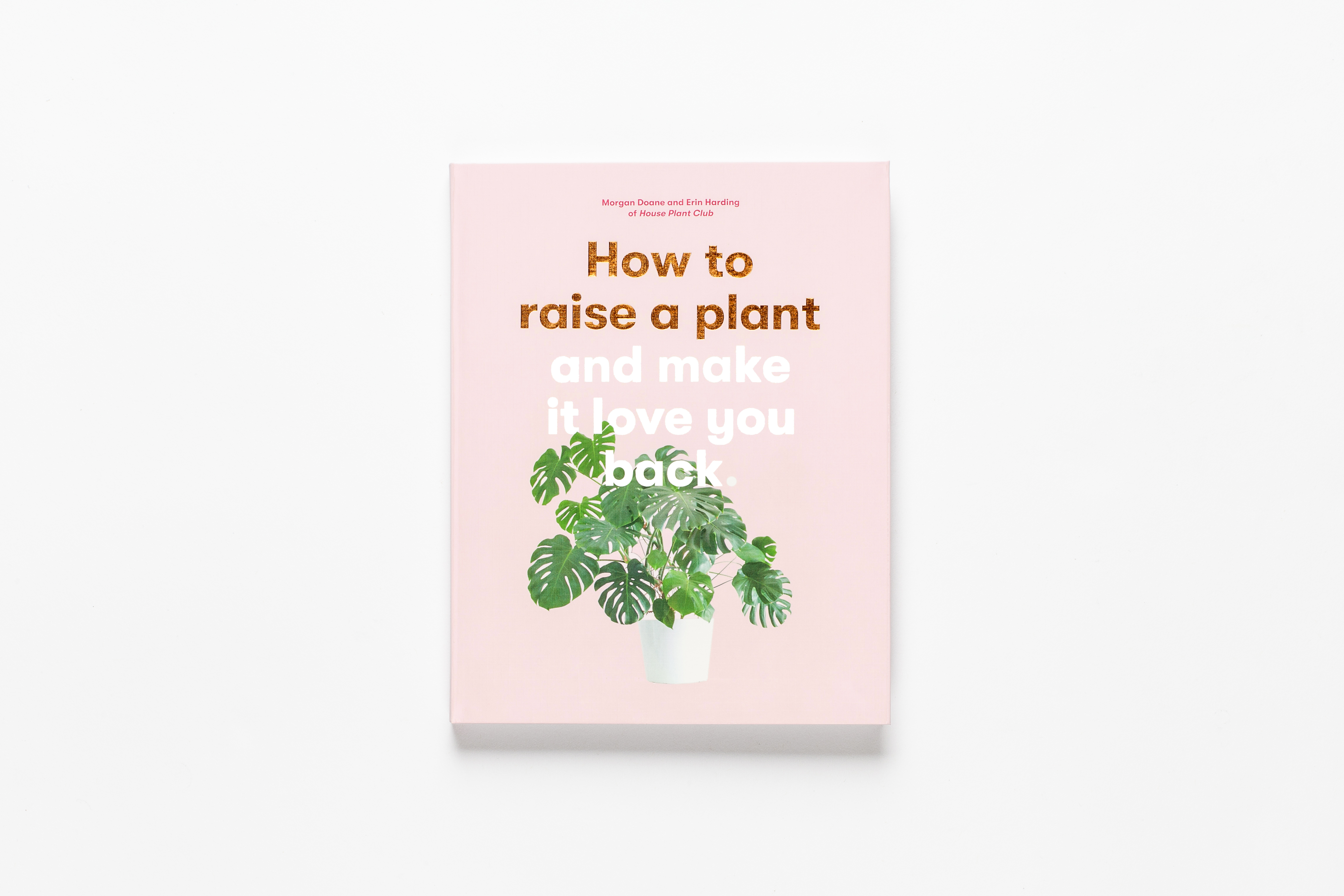 From How to Raise a Plant (and Make it Love You Back). Courtesy of Laurence King Publishing.