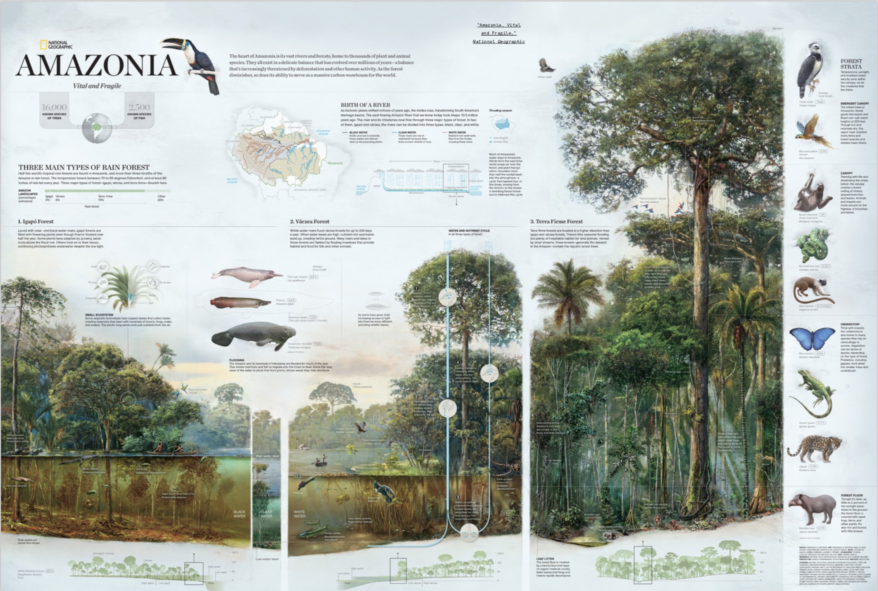By Juan Velasco, Samuel Velasco, Gestalten from Look Inside copyright Gestalten 2016