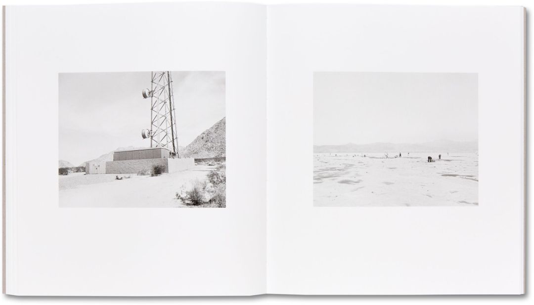 Susan Lipper; Domesticated Land; Publication date: April 2018