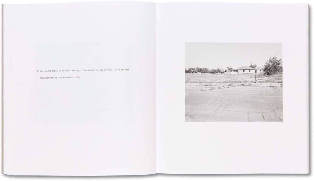 Susan Lipper; Domesticated Land; Publication date: April 2018