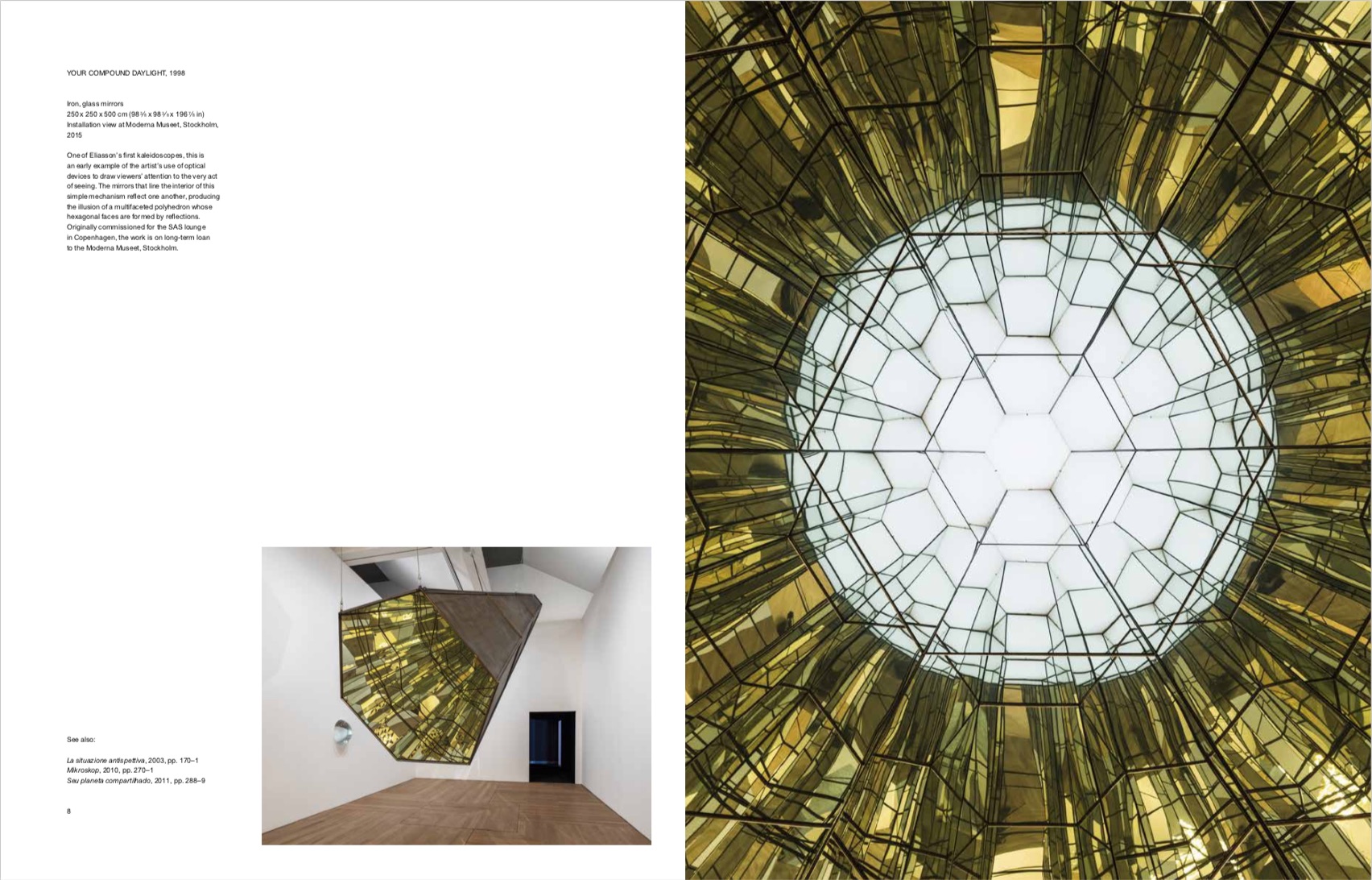 Olafur Eliasson, Michelle Kuo from Olafur Eliasson: Experience copyright Phaidon 2018