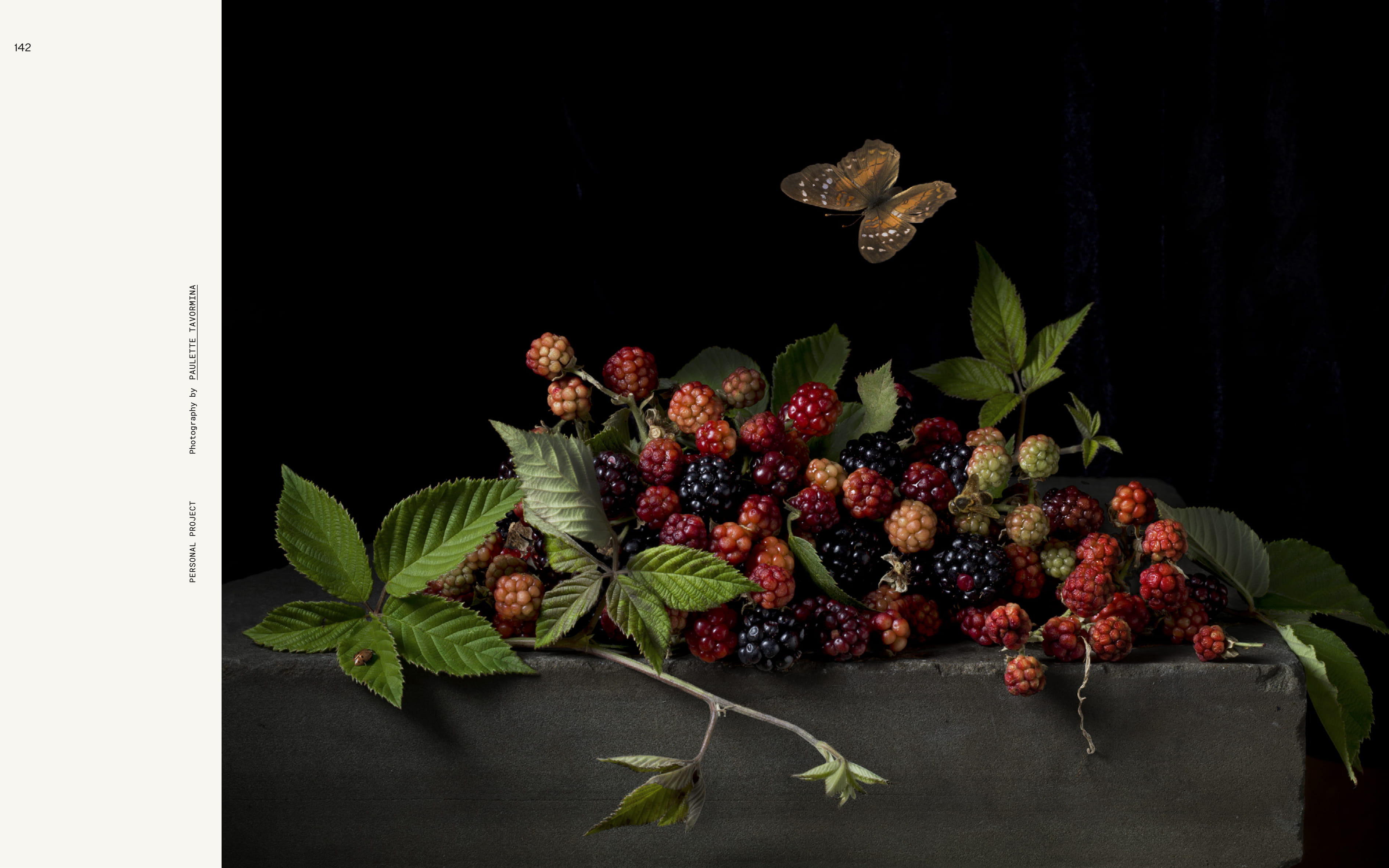 From Visual Feast Contemporary Food Staging and Photography copyright Gestalten 2017