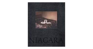 ALEC SOTH: NIAGARA