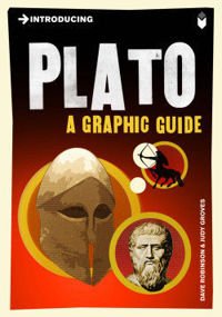 Introducing Plato