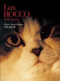 Masaki Hoshino - Luv. Rocco. Cat Photos