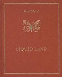 Rena Effendi Liquid Land