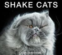 Shake Cats by Carli Davidson