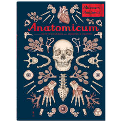 Anatomicum - Muzeum Anatomii