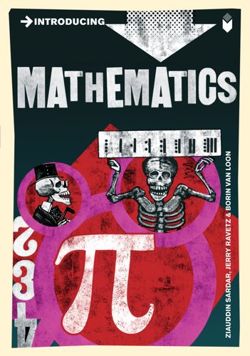 Introducing Mathematics: A Graphic Guide