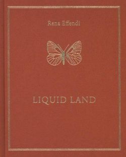 Rena Effendi Liquid Land