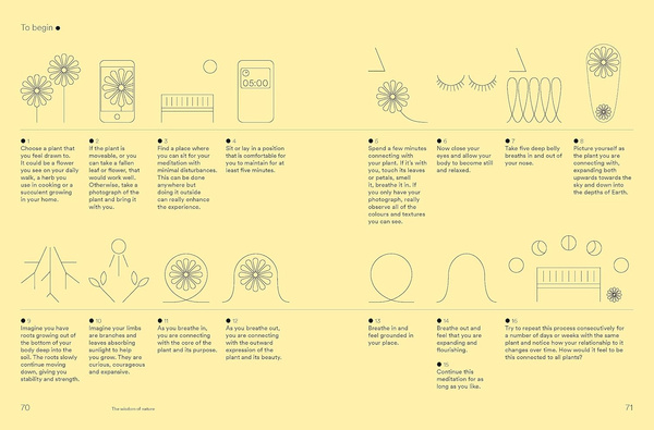 Women & Nature: Healing practices for body and soul