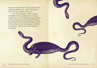 Monsters: A Bestiary of the Bizarre