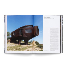 American Icons : The Architecture of the United States: Visions and Defiance