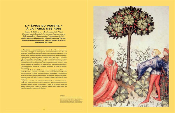 Mustard: A Treasure from Burgundy