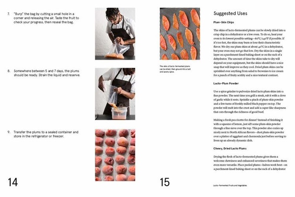 The Noma Guide to Fermentation (Foundations of Flavor)