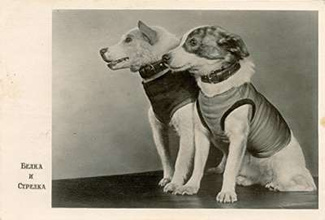 Soviet Space Dogs