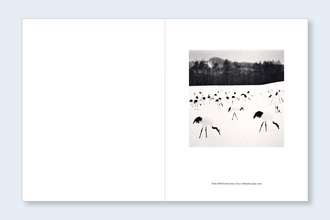 Japan | A Love Story 