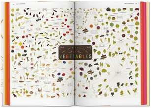 Food and Drink Infographics. A Visual Guide 