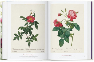 Redoute. The Book of Flowers. 40th Anniversary Edition
