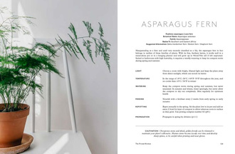 House of Plants: Living with Succulents, Air Plants and Cacti