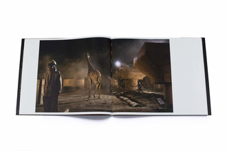 Nick Brandt: This Empty World