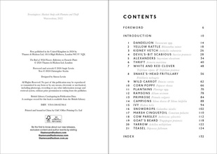 The Book of Wild Flowers : Reflections on Favourite Plants