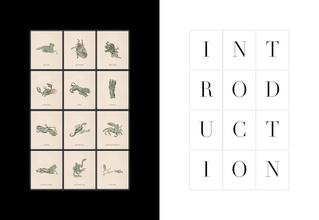 Phaenomena : Doppelmayr's Celestial Atlas