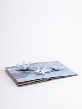 Weather : Pop-up Book