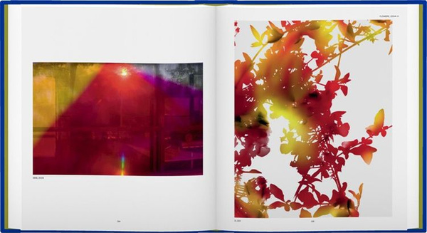 James Welling – Monograph