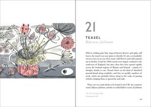 The Book of Wild Flowers : Reflections on Favourite Plants