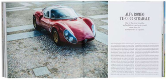 Beautiful Machines : The Era of the Elegant Sports