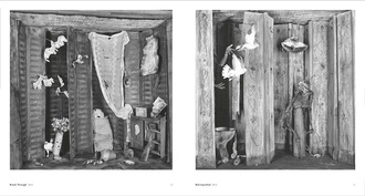 Asylum of the Birds