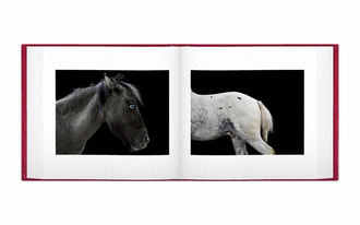 Alessandra Sanguinetti – Le Gendarme Sur La Colline