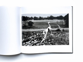 Josef Koudelka: Exiles