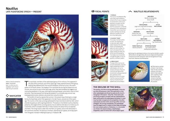 Evolution: the Whole Story