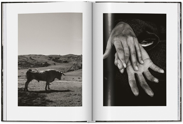 Peter Lindbergh. Untold Stories wyd. małe