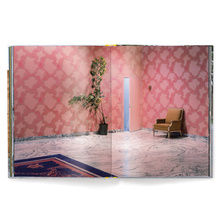 Elliott Erwitt's Kolor