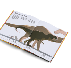 How Big Is Big? How Far Is Far? All Around Me (Metric)