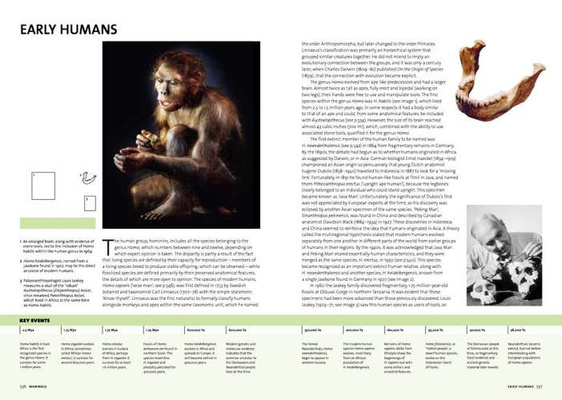 Evolution: the Whole Story