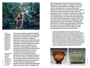 Should All Drugs Be Legalized?