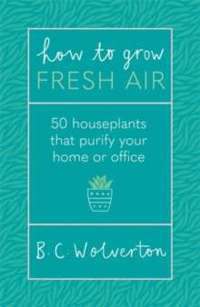 How To Grow Fresh Air : 50 Houseplants To Purify Your Home Or Office