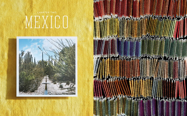 Journeys in Natural Dyeing