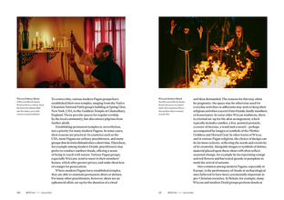 Pagans : The Visual Culture of Pagan Myths, Legends and Rituals