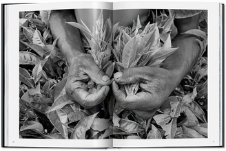 Sebastião Salgado. Workers