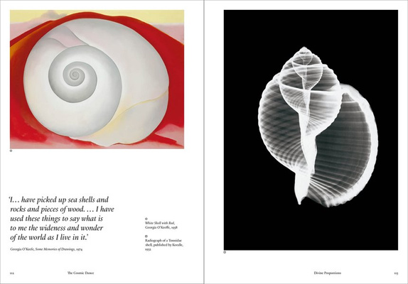 The Cosmic Dance : Finding patterns and pathways in a chaotic universe